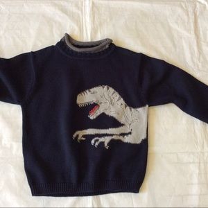 Standard Blues DINOSAUR Sweater 7